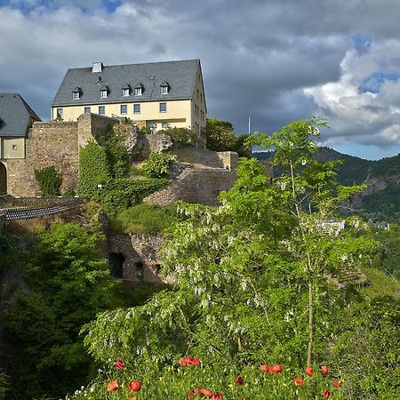 Отель Ev.Familienferien-Und Bildungsstaette Ebernburg Бад-Мюнстер-на-Штайн-Эбернбурге Экстерьер фото